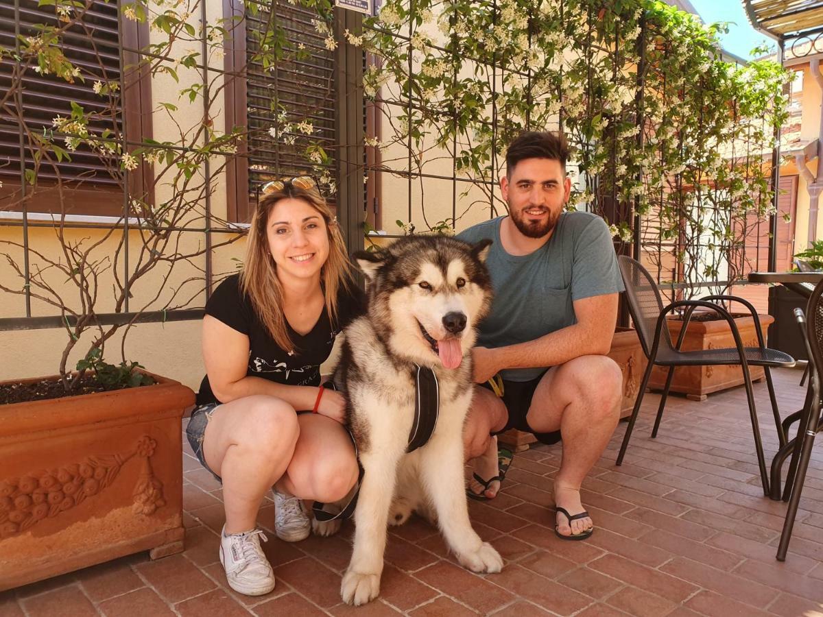 "La Terrazza Di Castiglione" Appartamenti Vacanza Castiglione della Pescaia Eksteriør billede